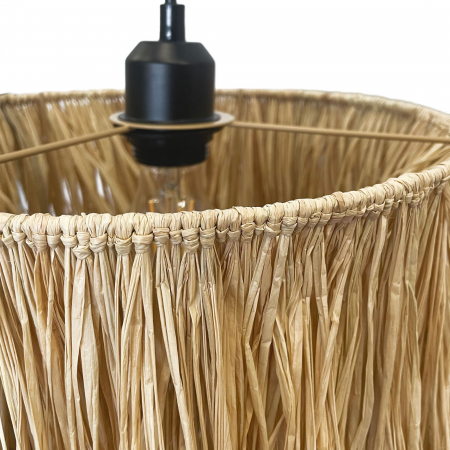 Lampă de tavan APP1322-1CP [2]