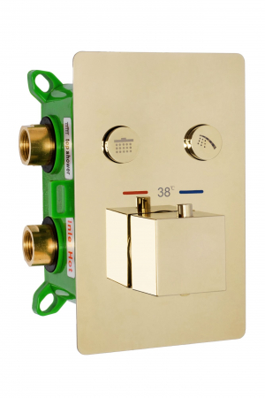 Set de dus Fenix Davis Gold Box, anti calcar, auriu, montaj incastrat [1]