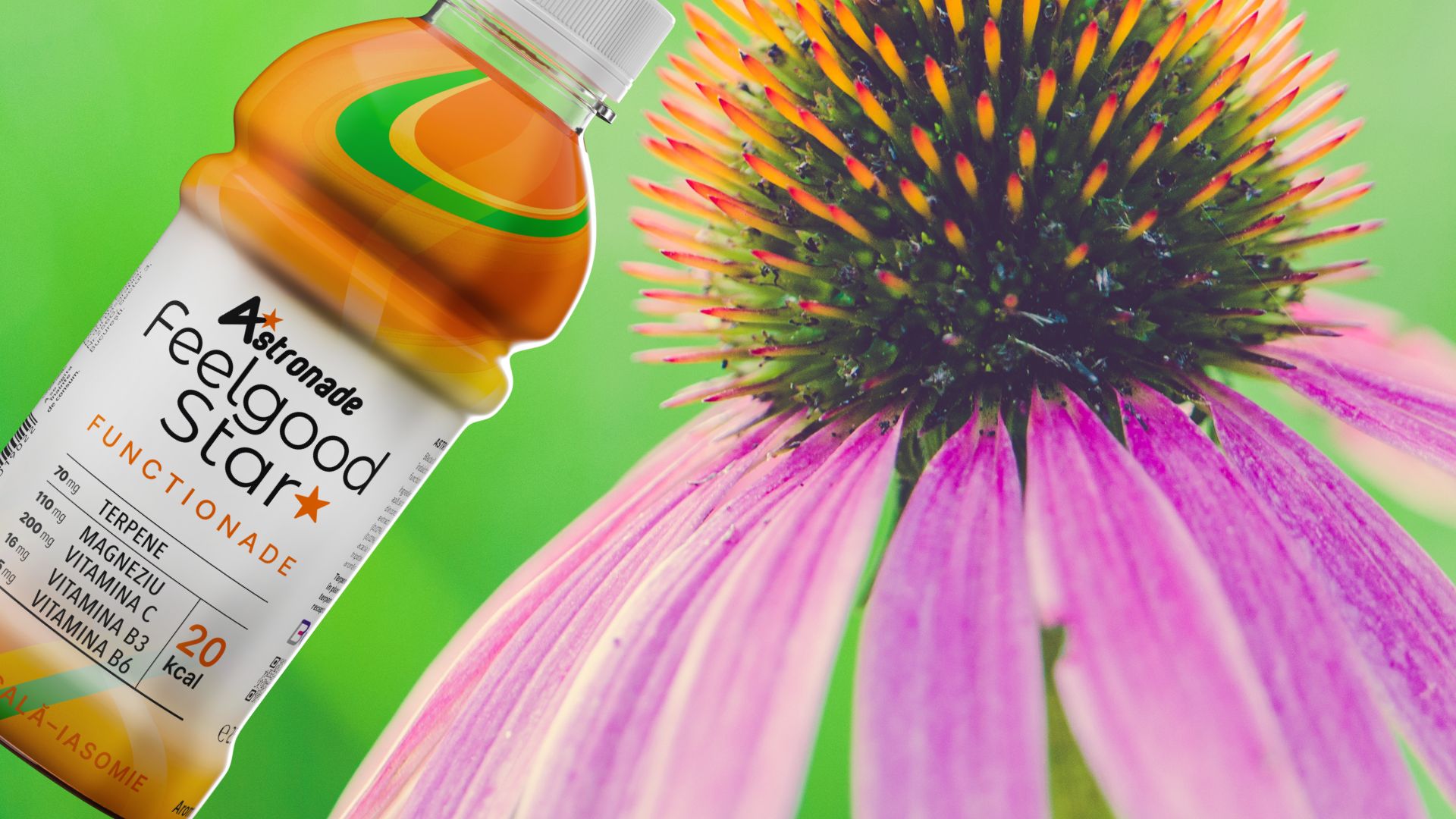 Bautura functionala- o alta apa cu vitamine sau o alegere mai inteligentă pentru sănătatea ta?