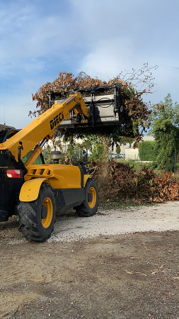 Cupa cu graifer XL U.Emme [2]