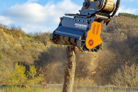 Mulchere forestiere - Mulcher forestier Cangini