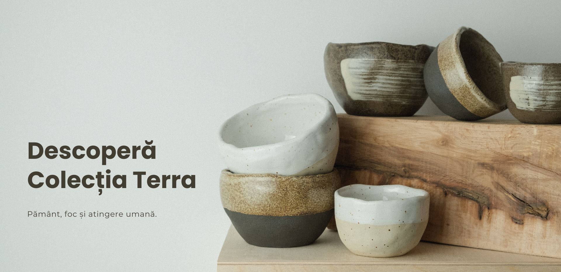 Descopera Colectia Terra