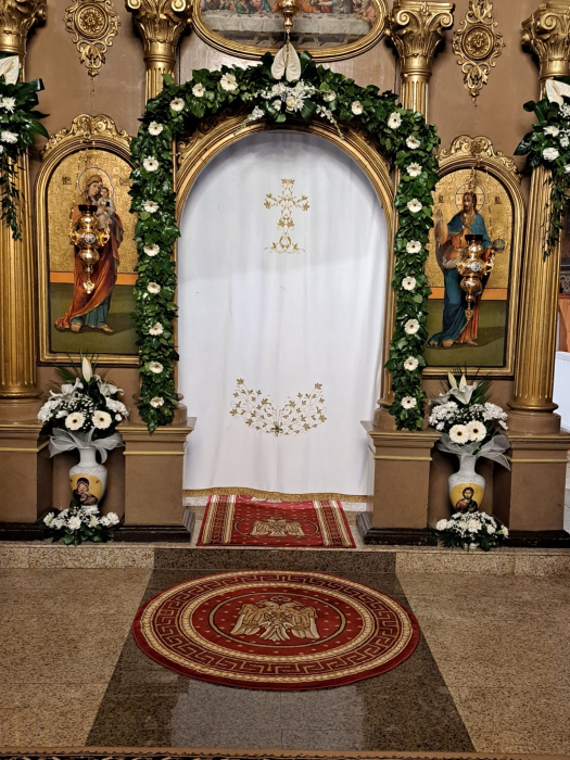 Acoperamant AOS A6 [3]