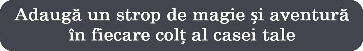 Banner_Categorie_Decoruri_Trofee