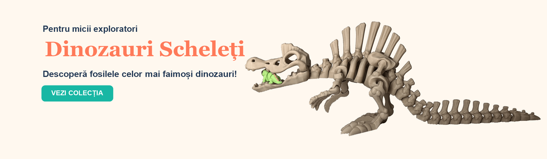 Dinozauri Scheleti