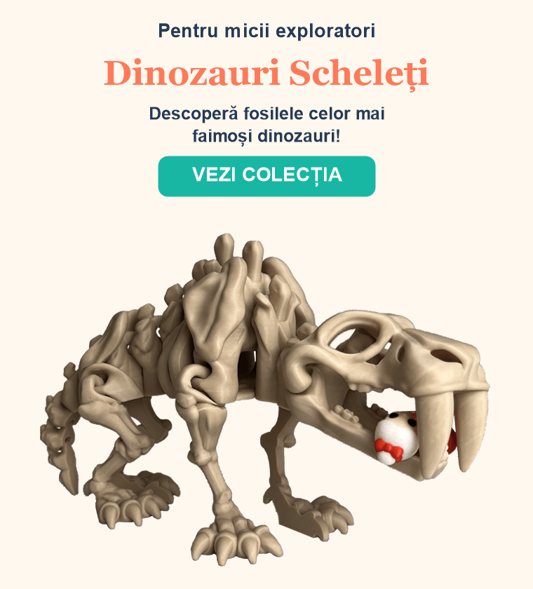 Dinozauri Scheleti