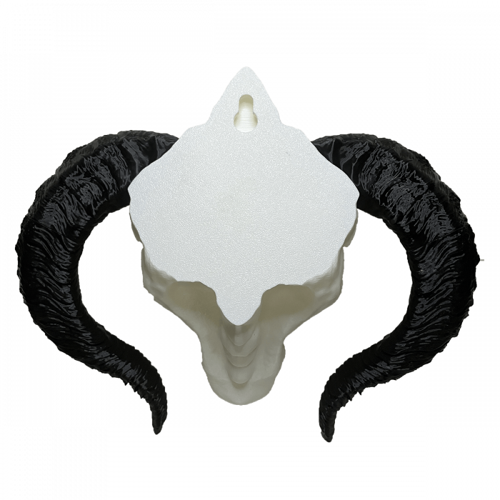 Cap de Dragon Decorativ - Trofeu Fantasy pentru Perete | Fabricat în România din PLA | Cadou pentru Iubitori de Fantezie și Mitologie sau pentru jucători D&D [5]