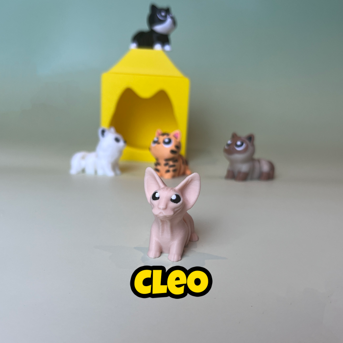 Căsuța Pisicuțelor - Set cu 5 Zigluți de Colecție [5]