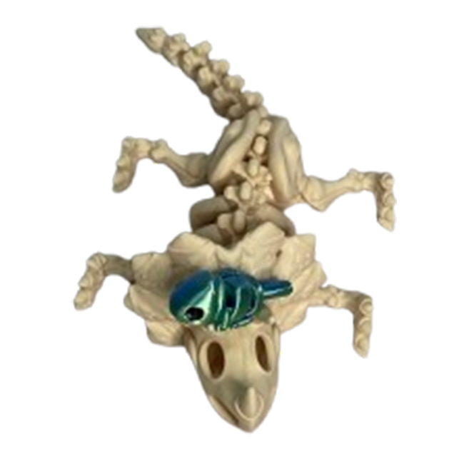 Jucărie Flexibilă, Schelet Triceratops cu mini-Ziglut, Dinozauri, Alb Os, 22 cm [5]