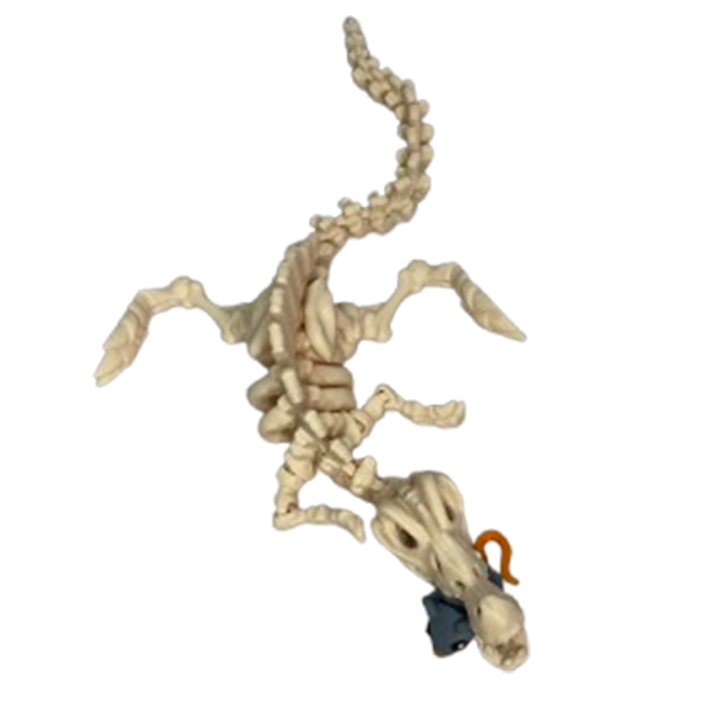 Jucărie Flexibilă, Schelet Spinozaur cu mini-Ziglut, Dinozauri, Alb Os, 30 cm [7]
