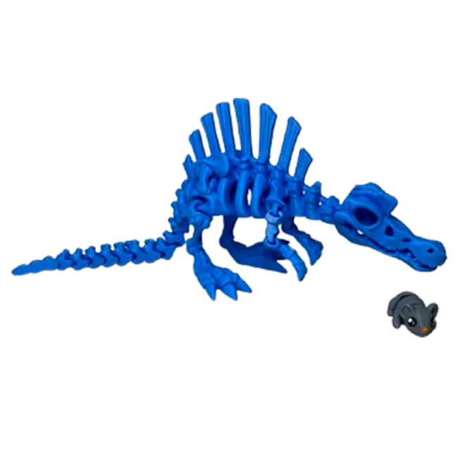 Jucărie Flexibilă, Schelet Spinozaur cu mini-Ziglut, Dinozauri, Albastru, 30 cm [4]