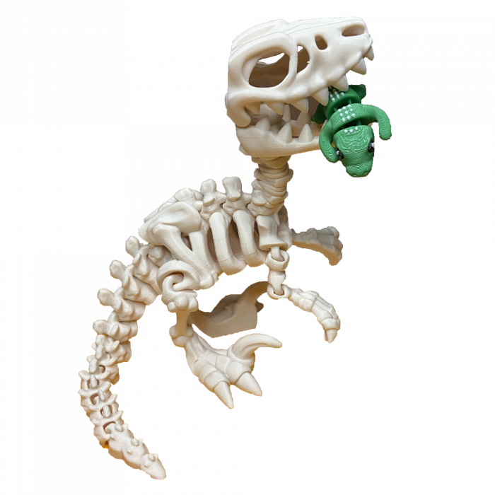 Jucărie Flexibilă, Schelet Raptor cu mini-Ziglut, Dinozauri, Alb Os, 25 cm [3]