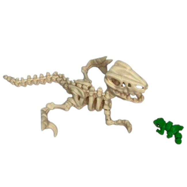 Jucărie Flexibilă, Schelet Raptor cu mini-Ziglut, Dinozauri, Alb Os, 25 cm [6]