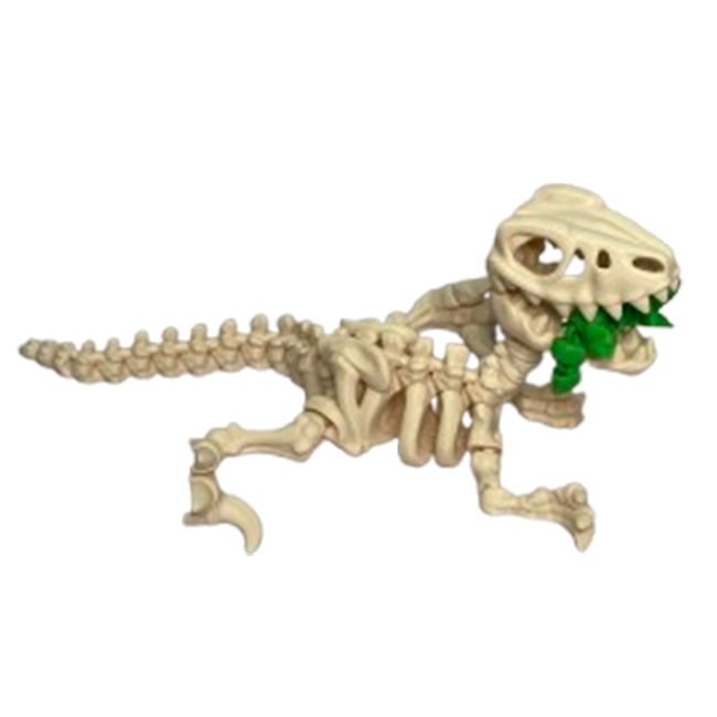 Jucărie Flexibilă, Schelet Raptor cu mini-Ziglut, Dinozauri, Alb Os, 25 cm [5]