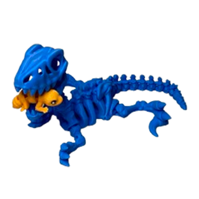 Jucărie Flexibilă, Schelet Raptor cu mini-Ziglut, Dinozauri, Albastru, 25 cm [5]