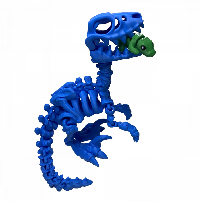 Jucărie Flexibilă, Schelet Raptor cu mini-Ziglut, Dinozauri, Albastru, 25 cm [3]