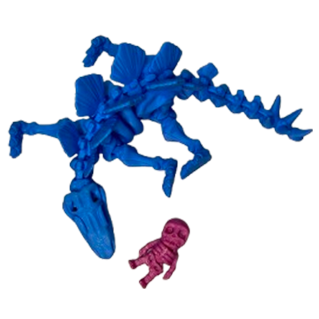 Jucărie Flexibilă, Schelet Stegozaur cu mini-Ziglut, Dinozauri, Albastru, 25 cm [5]