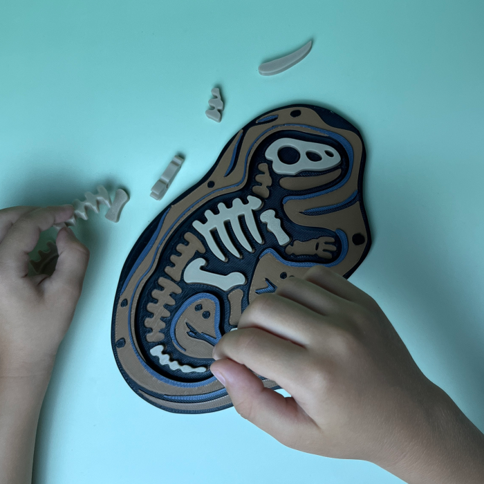 Puzzle Fosilă T-Rex - Joc Educativ și Senzorial [3]