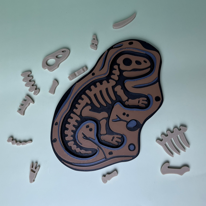 Puzzle Fosilă T-Rex - Joc Educativ și Senzorial [4]