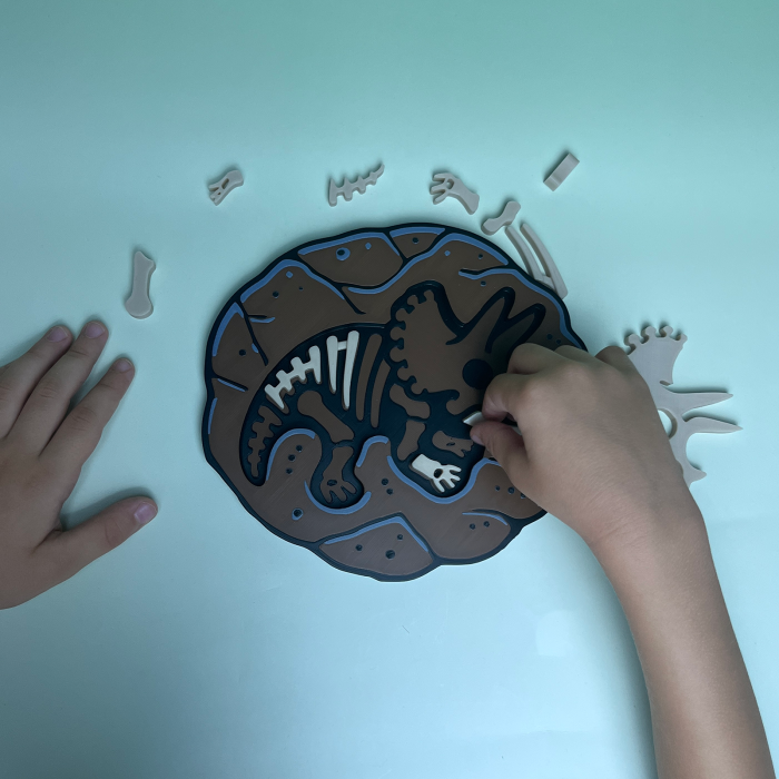 Puzzle Fosilă Triceratops - Joc Educativ și Senzorial [2]