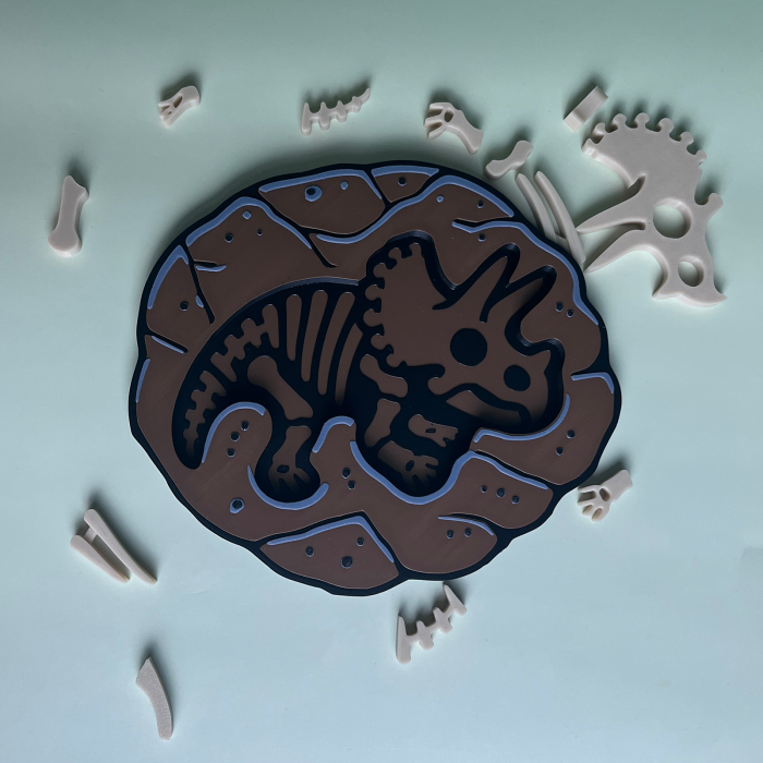 Puzzle Fosilă Triceratops - Joc Educativ și Senzorial [4]