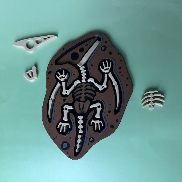 Puzzle Fosilă Pterodactil - Joc Educativ și Senzorial [3]