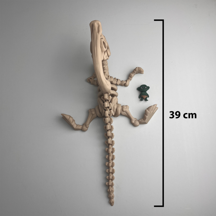 Schelet MARE Parasaurolophus cu mini-Ziglut, 39 cm [2]