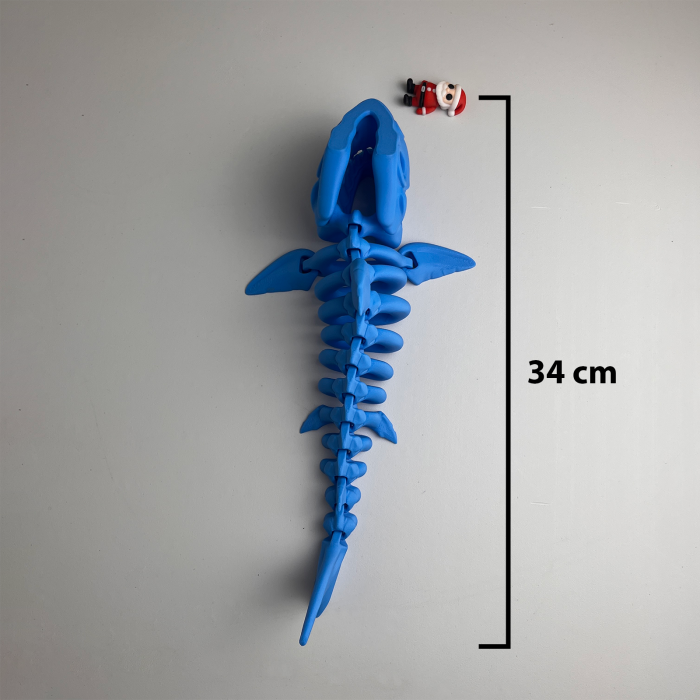 Schelet MARE Rechin cu mini-Ziglut, 34 cm [2]