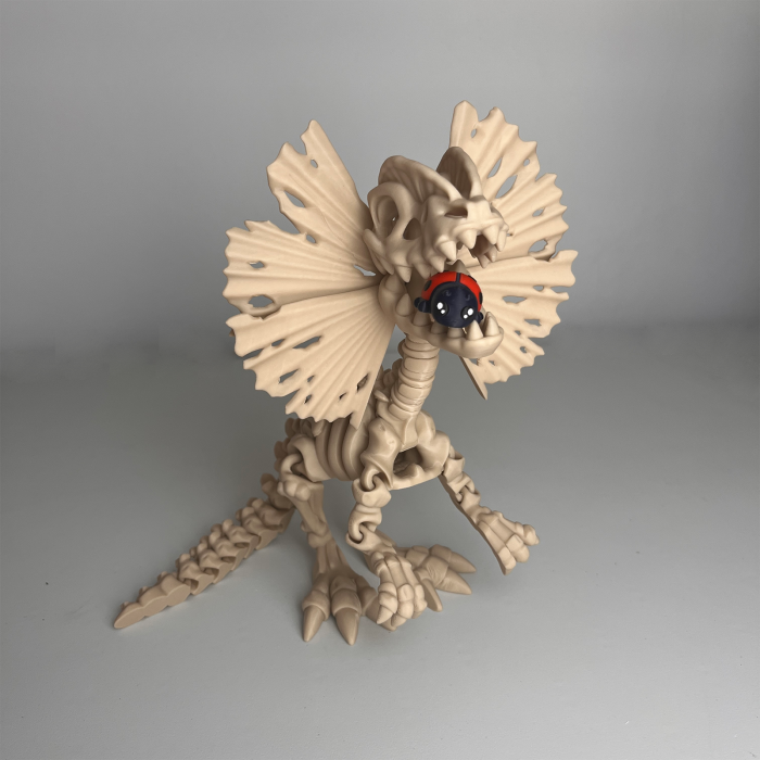 Schelet MARE Dilophosaurus cu mini-Ziglut, 39 cm [4]