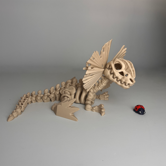 Schelet MARE Dilophosaurus cu mini-Ziglut, 39 cm [3]