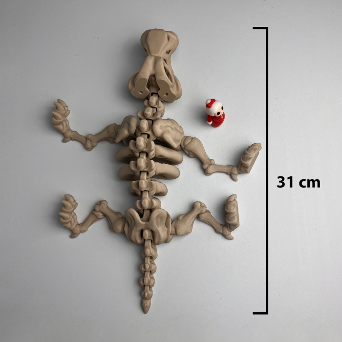 Schelet MARE Sabertooth cu mini-Ziglut, 31 cm [2]