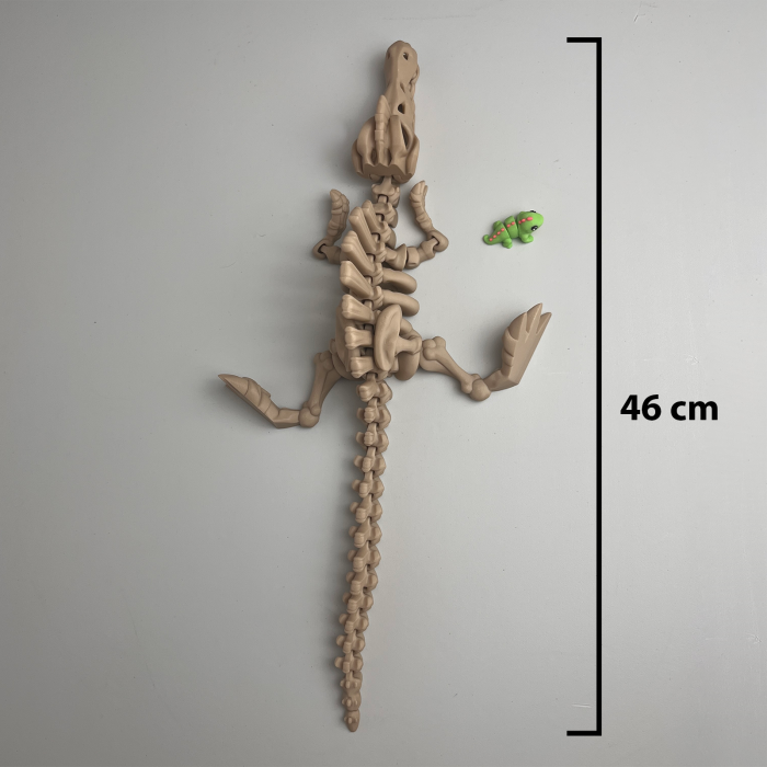 Schelet MARE Spinozaur cu mini-Ziglut, 46 cm [2]