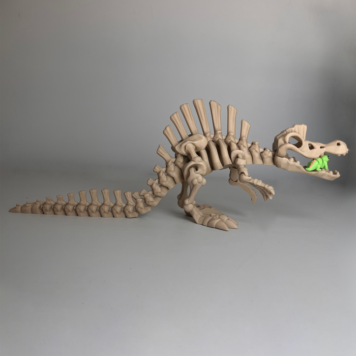 Schelet MARE Spinozaur cu mini-Ziglut, 46 cm [3]