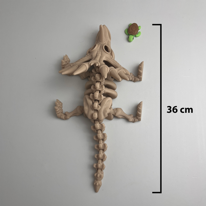 Schelet MARE Styracosaurus / Triceratops cu mini-Ziglut, 36 cm [2]