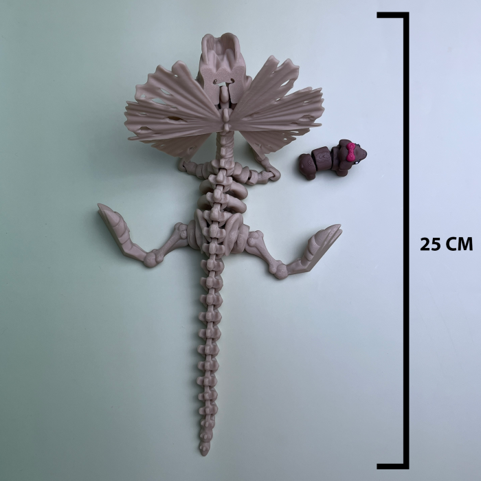 Schelet Dilophosaurus cu Mini Zigluț Surpriză – 25 cm [3]