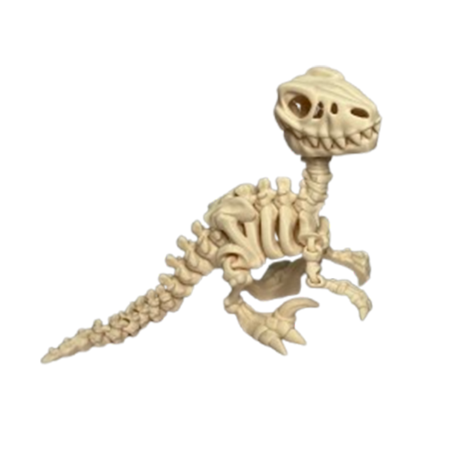 Set 7 Jucării Flexibile Dinozauri Scheleti, Culoare Alb Os, Material PLA Premiu [4]