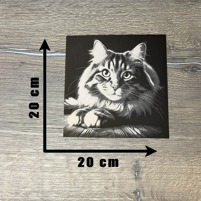 Tablou 3D Pisica HueForge - Decor Animalut pentru Sufragerie | Imprimare 3D Realistă | Cadou Iubitori de Pisici (20x20 cm) [3]