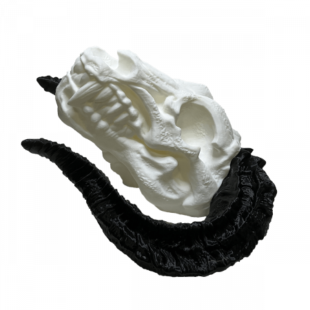 Cap de Dragon Decorativ - Trofeu Fantasy pentru Perete | Fabricat în România din PLA | Cadou pentru Iubitori de Fantezie și Mitologie sau pentru jucători D&D [2]