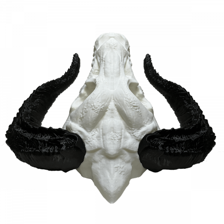 Cap de Dragon Decorativ - Trofeu Fantasy pentru Perete | Fabricat în România din PLA | Cadou pentru Iubitori de Fantezie și Mitologie sau pentru jucători D&D [3]