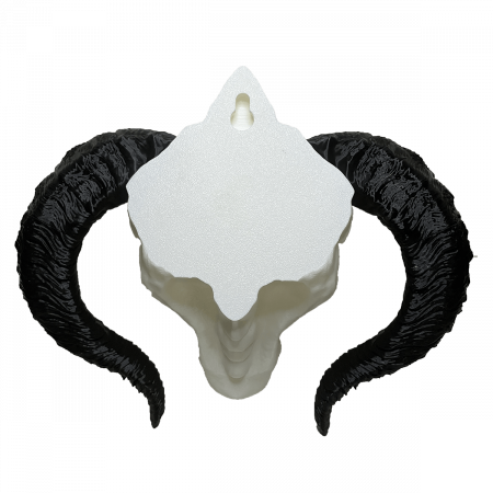 Cap de Dragon Decorativ - Trofeu Fantasy pentru Perete | Fabricat în România din PLA | Cadou pentru Iubitori de Fantezie și Mitologie sau pentru jucători D&D [4]
