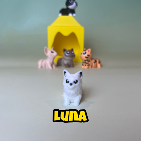 Căsuța Pisicuțelor - Set cu 5 Zigluți de Colecție [5]