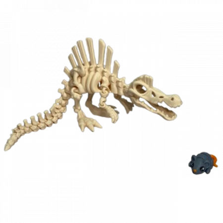 Jucărie Flexibilă, Schelet Spinozaur cu mini-Ziglut, Dinozauri, Alb Os, 30 cm [5]