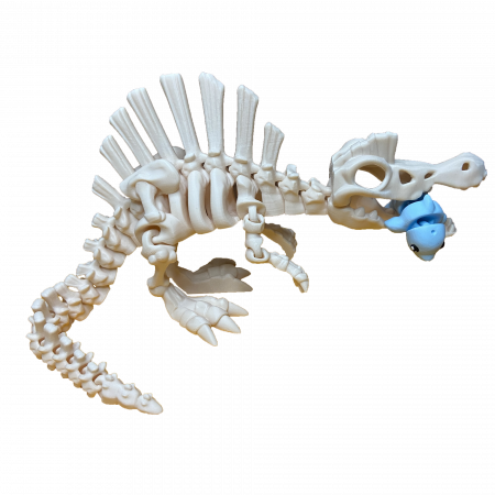 Jucării - Jucărie Flexibilă, Schelet Spinozaur cu mini-Ziglut, Dinozauri, Alb Os, 30 cm