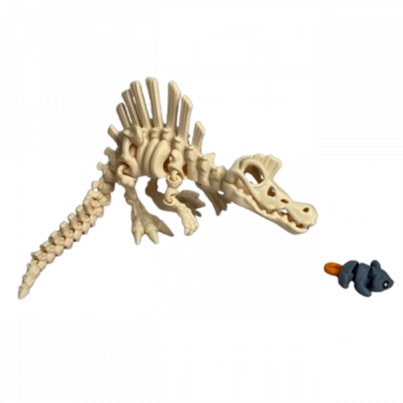 Jucărie Flexibilă, Schelet Spinozaur cu mini-Ziglut, Dinozauri, Alb Os, 30 cm [2]