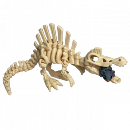 Jucărie Flexibilă, Schelet Spinozaur cu mini-Ziglut, Dinozauri, Alb Os, 30 cm [4]