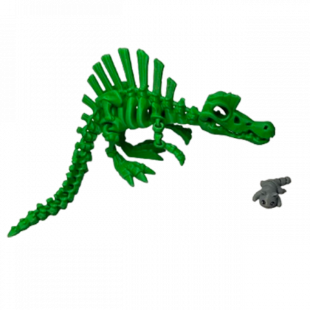 Jucărie Flexibilă, Schelet Spinozaur cu mini-Ziglut, Dinozauri, Verde, 30 cm [3]
