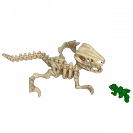 Jucărie Flexibilă, Schelet Raptor cu mini-Ziglut, Dinozauri, Alb Os, 25 cm [5]