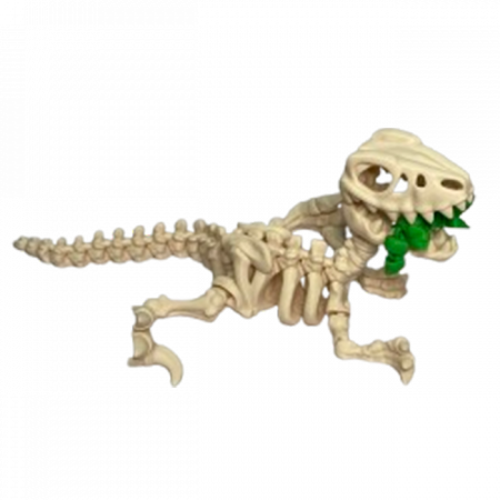 Jucărie Flexibilă, Schelet Raptor cu mini-Ziglut, Dinozauri, Alb Os, 25 cm [4]