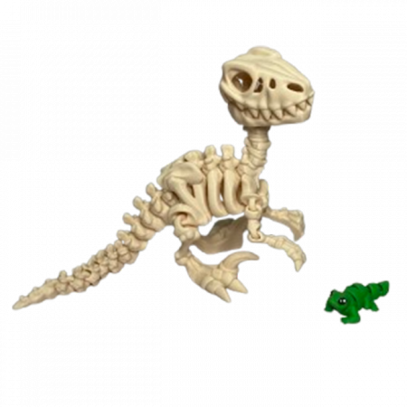 Zigluti Dinozauri Scheleti - Jucărie Flexibilă, Schelet Raptor cu mini-Ziglut, Dinozauri, Alb Os, 25 cm