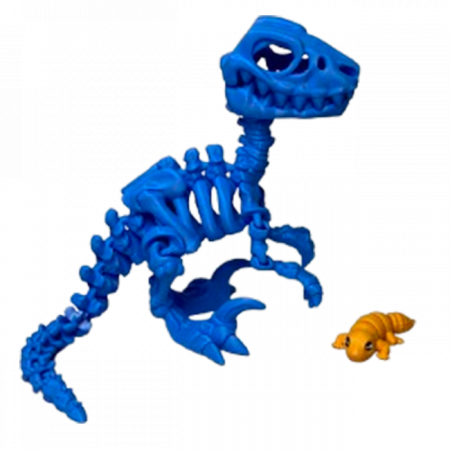Zigluti Dinozauri Scheleti - Jucărie Flexibilă, Schelet Raptor cu mini-Ziglut, Dinozauri, Albastru, 25 cm